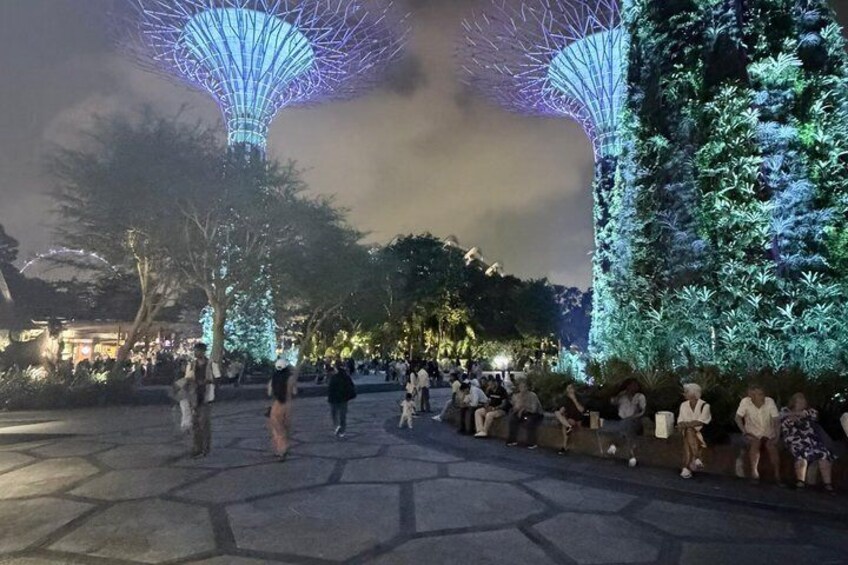 Singapore River Cruise, Night Garden Rhapsody & Spectra By CYT 3