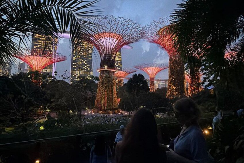 A garden with illuminated structures and a cityscape in the background. 4