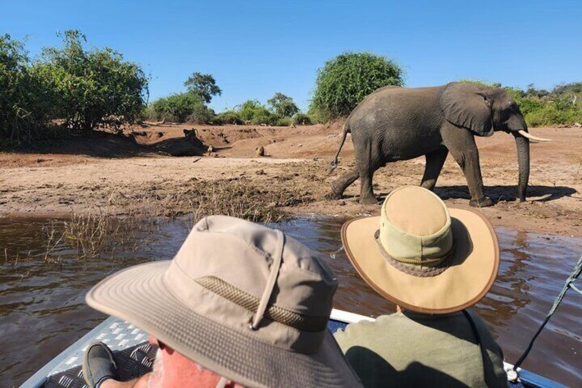 Iemand draagt een hoed en er is een boot te zien, met een olifant op de achtergrond. 4