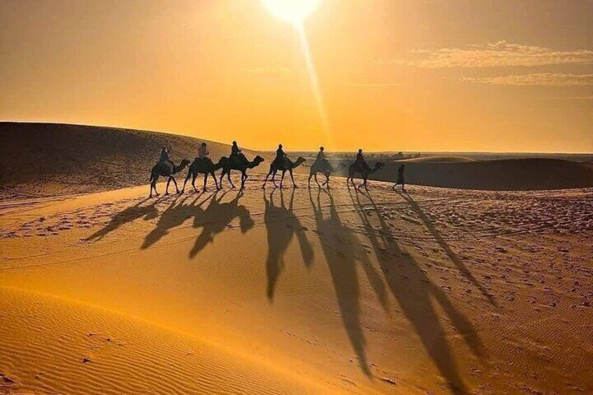 Un groupe de personnes chevauchant des chameaux à travers un désert au coucher du soleil. 2