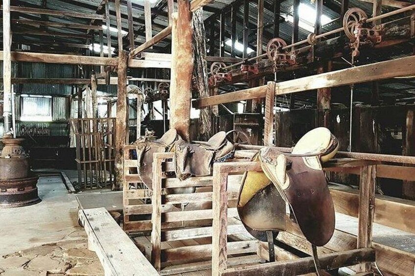 Historic Shearing Shed 4