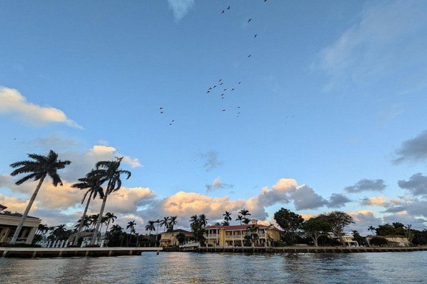 A waterfront with palm trees, a building, and a clear sky with birds flying. 2