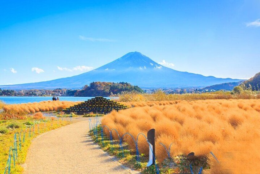 A pathway leading to a mountain, a body of water, and a field of tall grass. 3