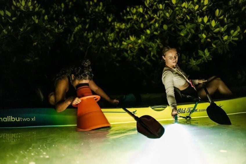 Night Mangrove Kayak Tour 3