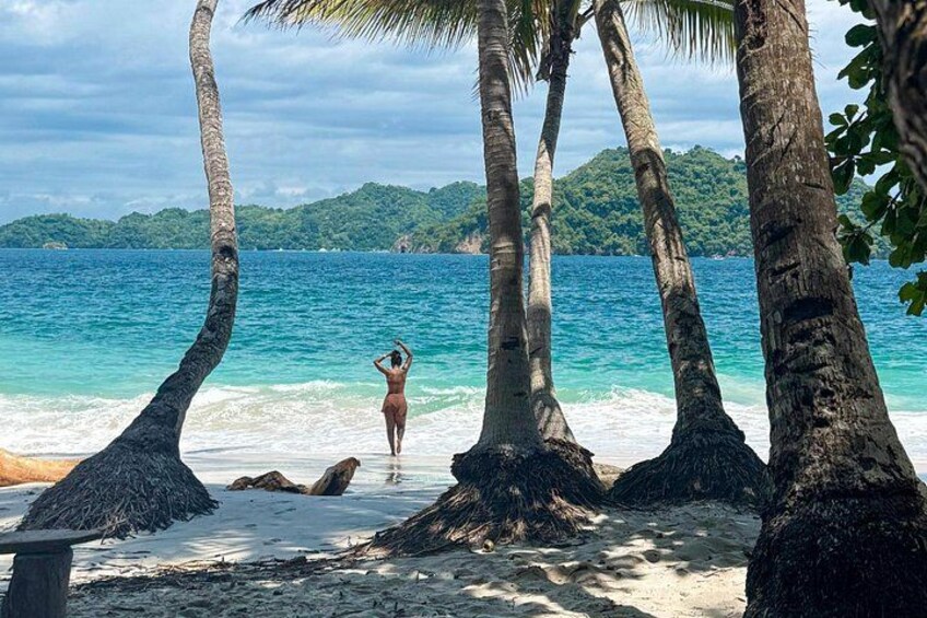 A beach with palm trees, a person standing by the water, and a distant mountain range. 5