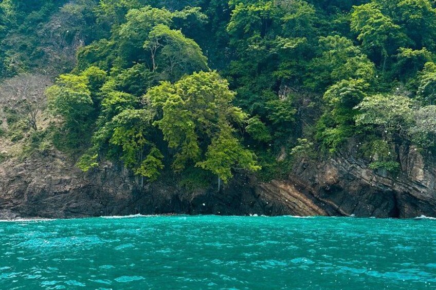 A coastal landscape with dense green foliage and rocky cliffs. 2