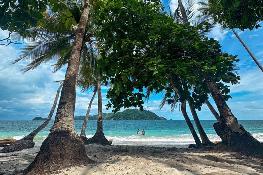 A beach with palm trees and a distant island. 4