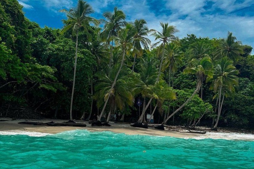Private Tour to Quesera Beach – All-Inclusive from San José 2