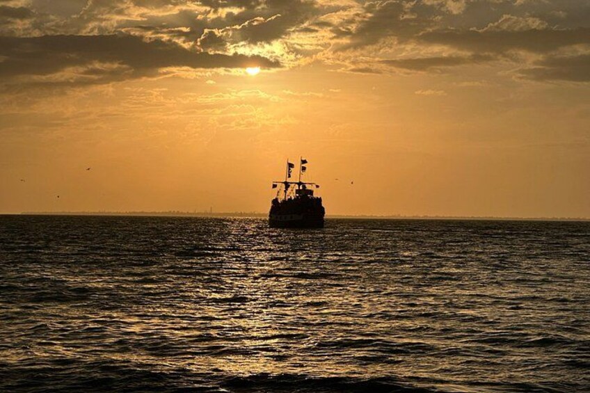 90 Minute Public Tiki Boat Tour on Fort Myers Beach 5