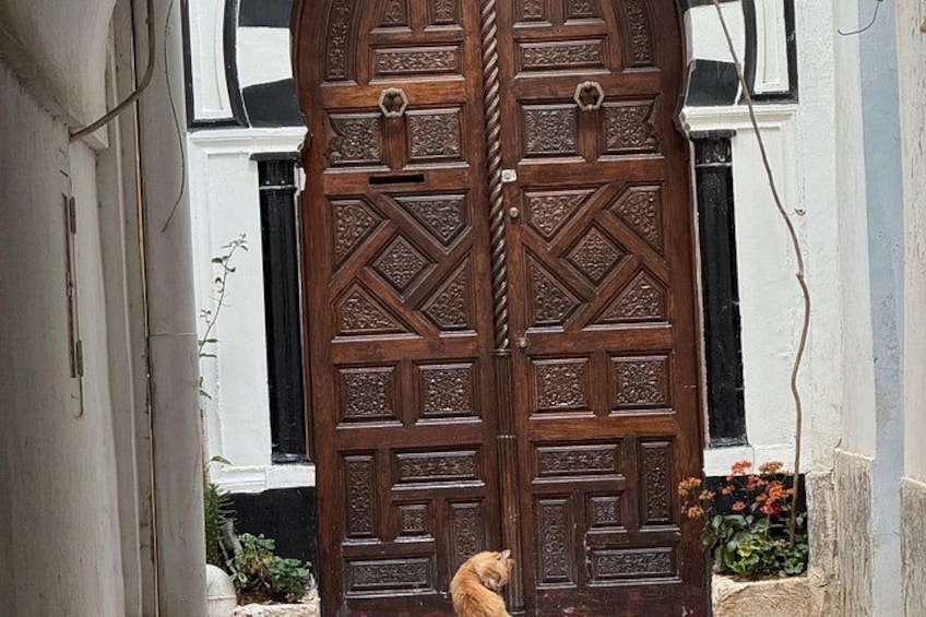 A wooden double door with intricate carvings, a small plant, and a window with black shutters in the background. 2