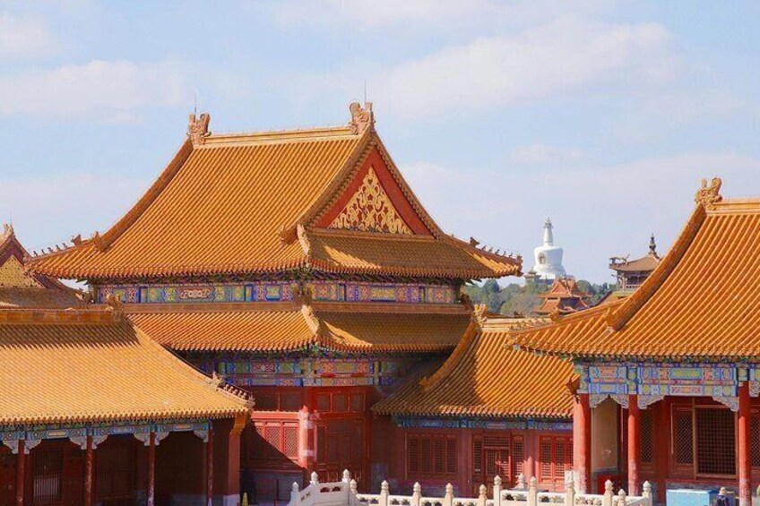 Forbidden City and Imperial Garden Tour in Beijing 4