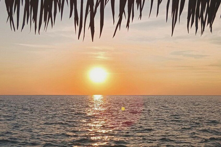 Big Kahuna Sunset Dolphin Cruise Experience 2