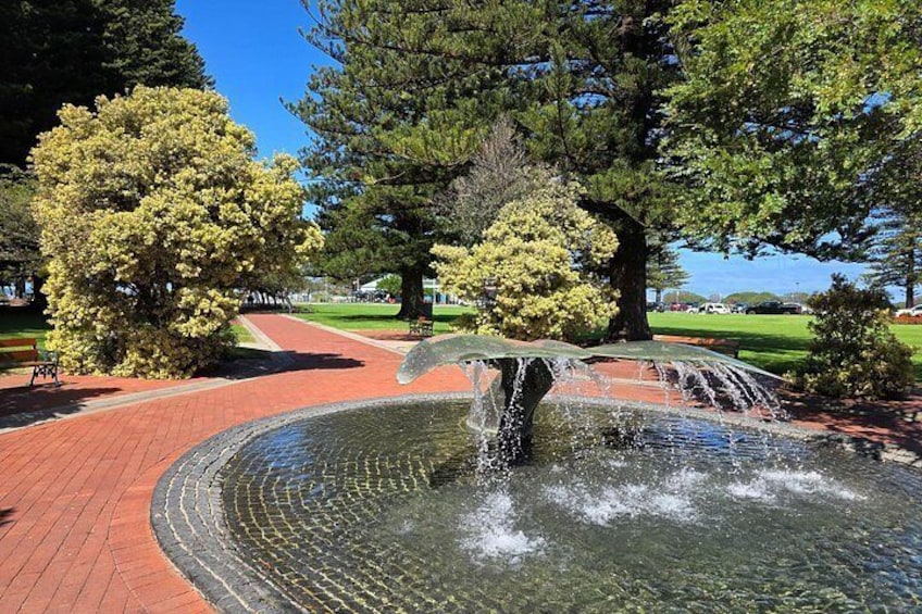 Victor Harbor and d’Arenberg Cube Small Group Premium Tour 2