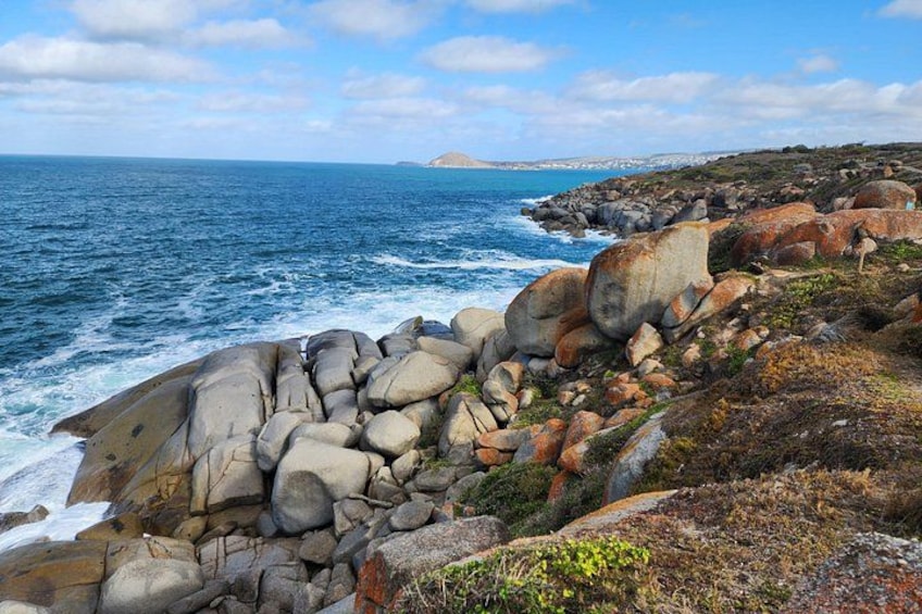 The wild side of Granite Island, Victor Harbor 2