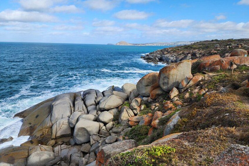 The wild side of Granite Island, Victor Harbor 2