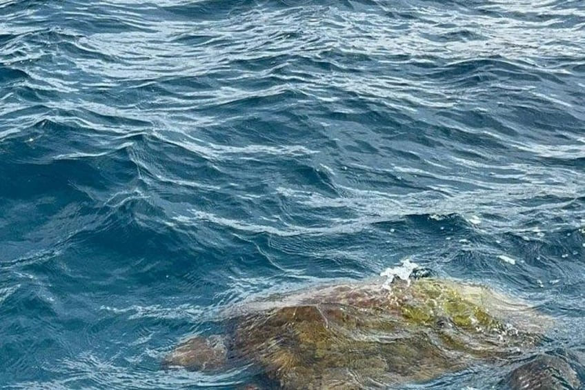 Un affleurement rocheux dans l’océan, où les vagues viennent s’écraser. 2