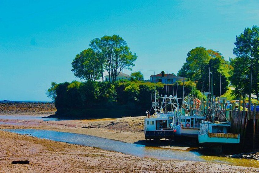 Bay Of Fundy Guided Tour 4