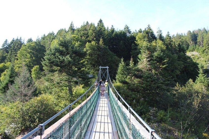 Bay Of Fundy Guided Tour 3