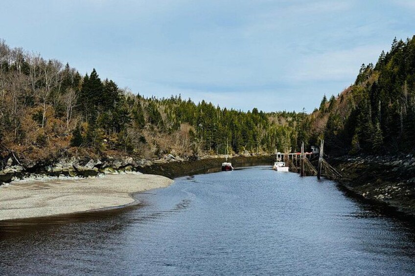 Bay Of Fundy Guided Tour 2