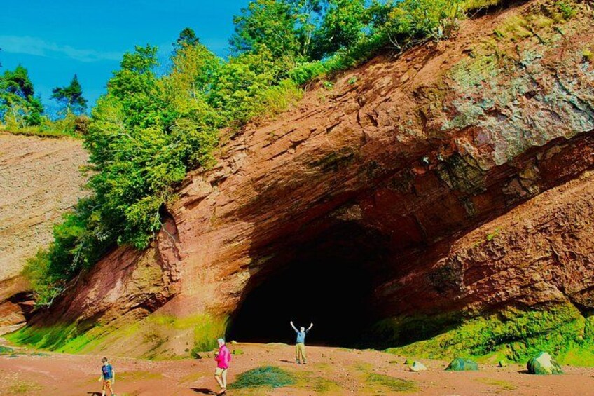 Bay Of Fundy Guided Tour 3