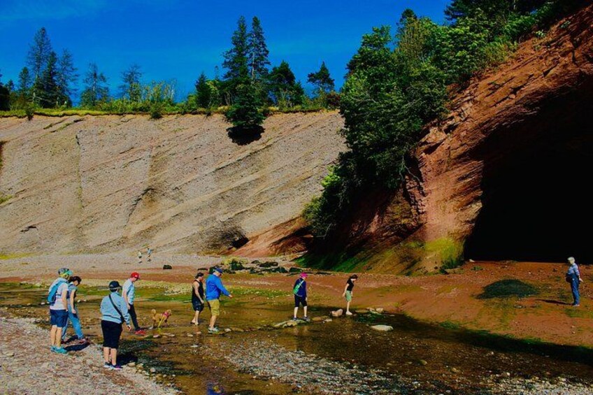 Bay Of Fundy Guided Tour 1