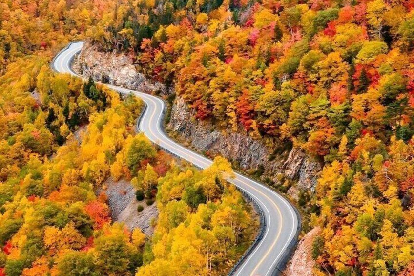 Cabot Trail: Cape smokey hill & Green Cove Tour from Sydney port 3