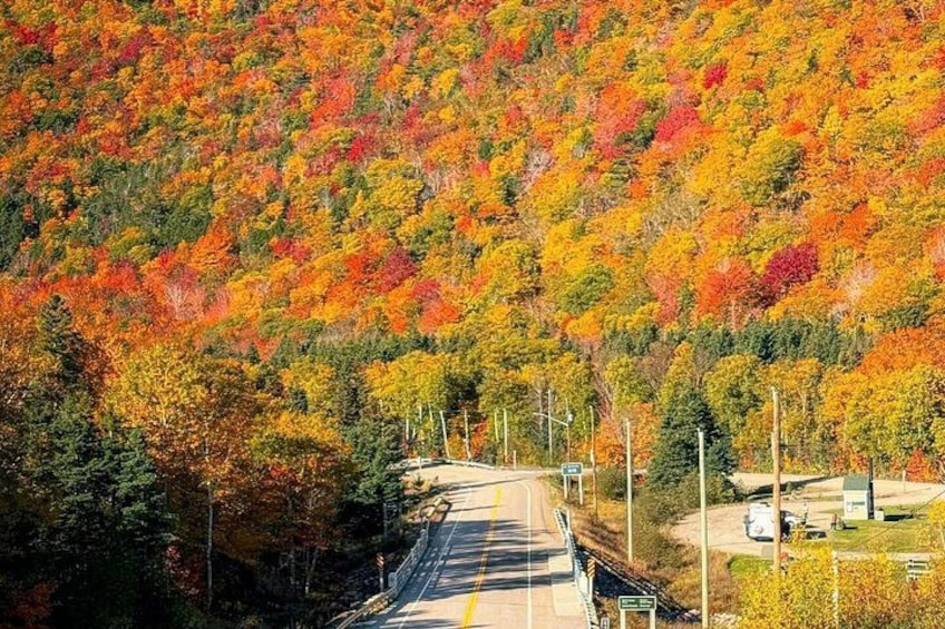 Cabot Trail: Green Cove excursion from port of Sydney Cape breton 3