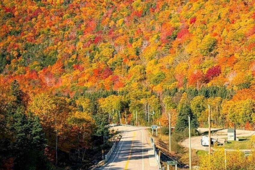 Cabot Trail: Green Cove excursion from port of Sydney Cape breton 4