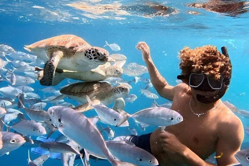 Private catamaran sail & snorkel cruise 2