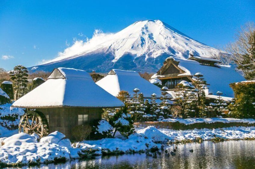 Mt. Fuji Autumn leaves And Heritage Village Trip Tokyo 4
