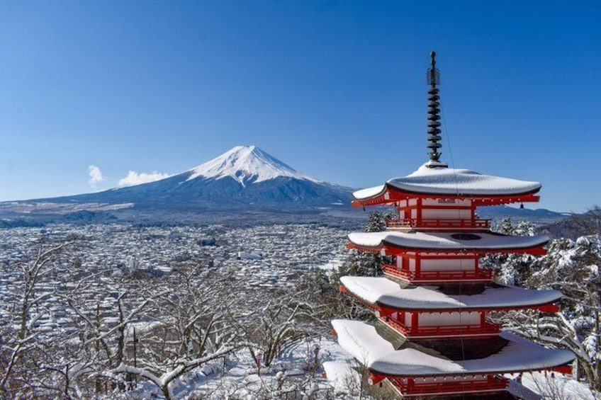 Mt. Fuji Autumn leaves And Heritage Village Trip Tokyo 2