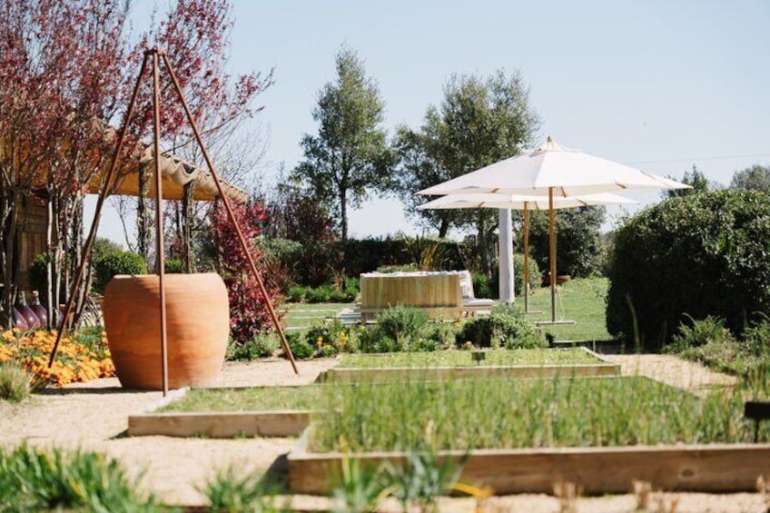 Horse Riding and Wine Tasting Experience 2