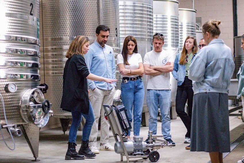 Horse Riding and Wine Tasting Experience 3
