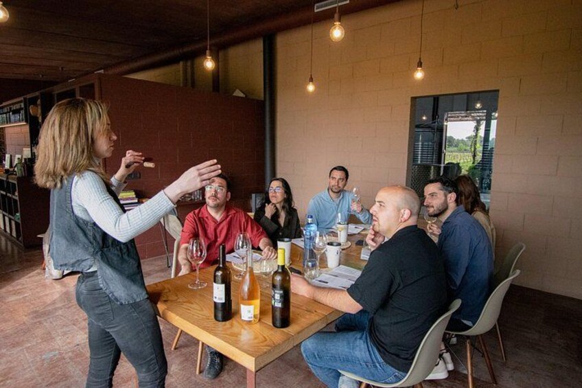 Horse Riding and Wine Tasting Experience 4
