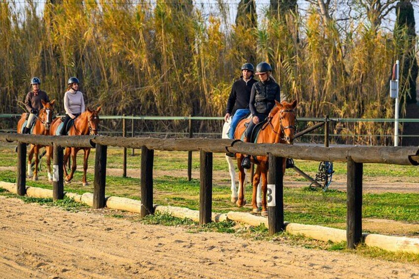 Horse Riding and Wine Tasting Experience 2