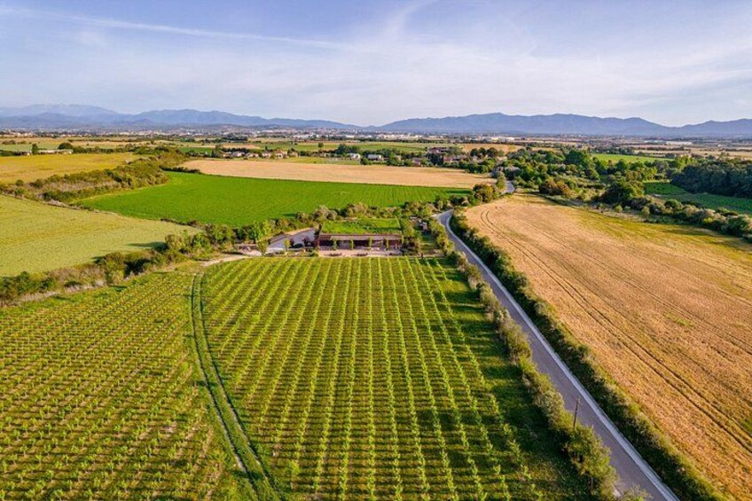 Horse Riding and Wine Tasting Experience 3