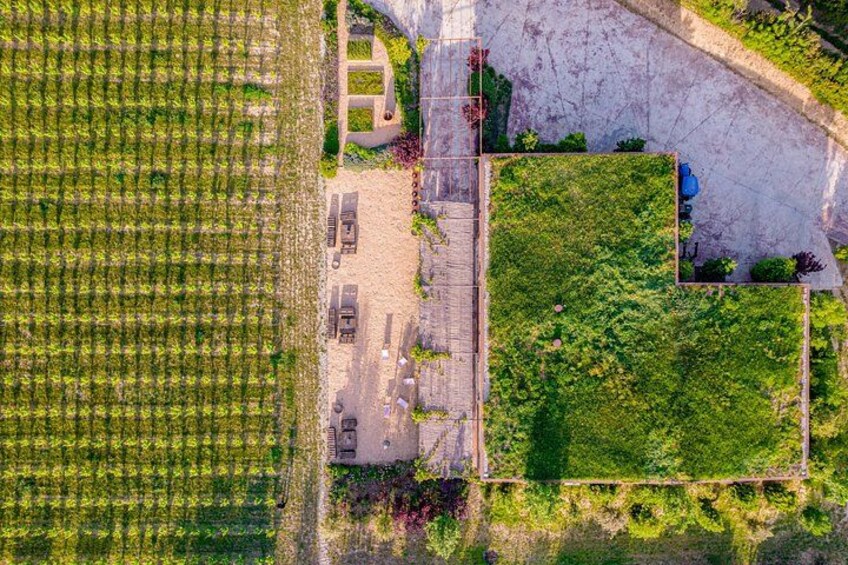 Horse Riding and Wine Tasting Experience 5