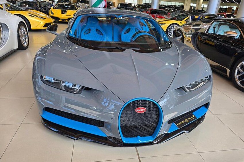 Dubai Luxury Car Showroom Tour with Dubai Mall Drop-Off 2