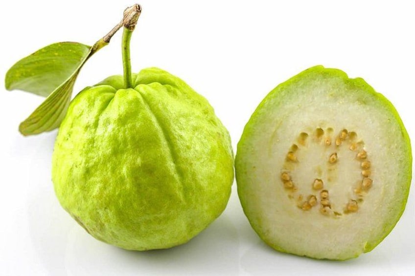 Guided Tasting of 15+ Tropical Fruits in Playa del Carmen 2