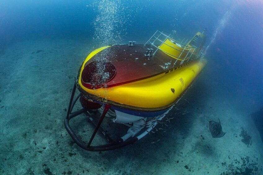 Submarine Tour with Hotel Pickup Tenerife South 2