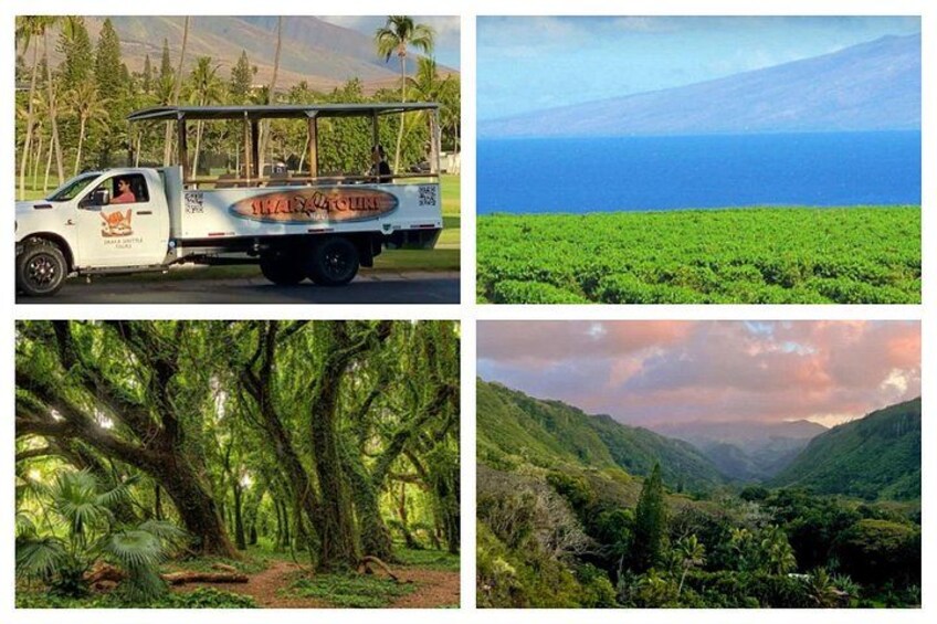 A truck with a logo, a lush green field, a dense forest, and a valley with mountains. 4