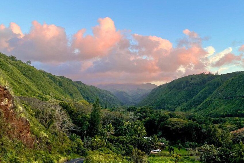 Shaka Shuttle Tours highlight of the West Maui Mountain reserve. 2