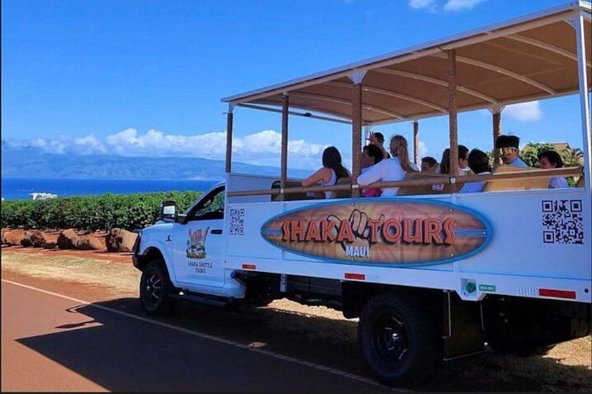 Fun! Open-Air Banyan Tree Forest & Blowhole Sight-Seeing MauiTour 1