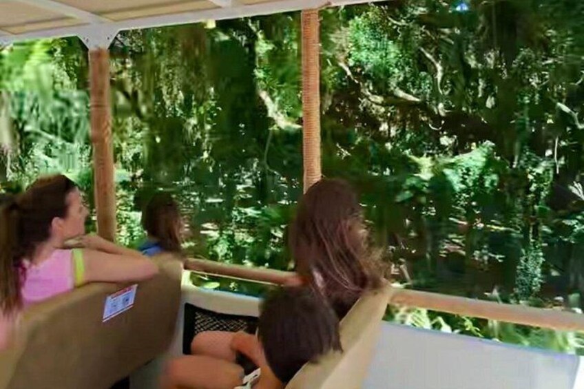 Fun! Open-Air Banyan Tree Forest & Blowhole Sight-Seeing MauiTour 2