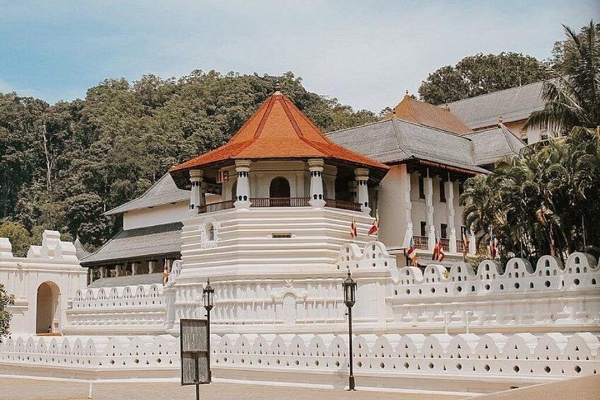 Best of Sri Lanka 7 Day Luxury VIP Tour 2