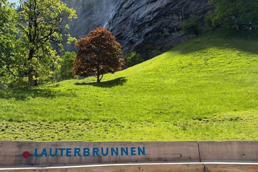 Een grasheuvel met een boom, een houten bord met de tekst 'LAUTERBRUNNEN' en een rotsachtige klif. 3