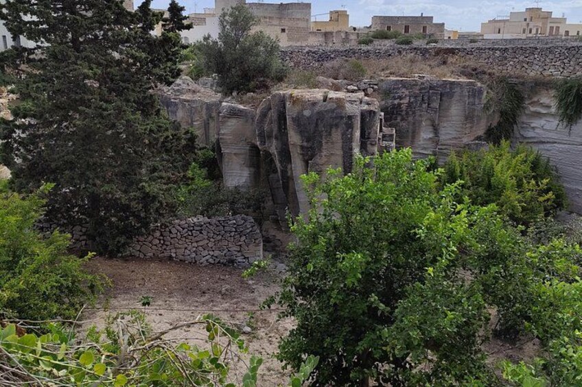 A rocky cliff with a staircase leading up, surrounded by greenery and buildings in the background. 2