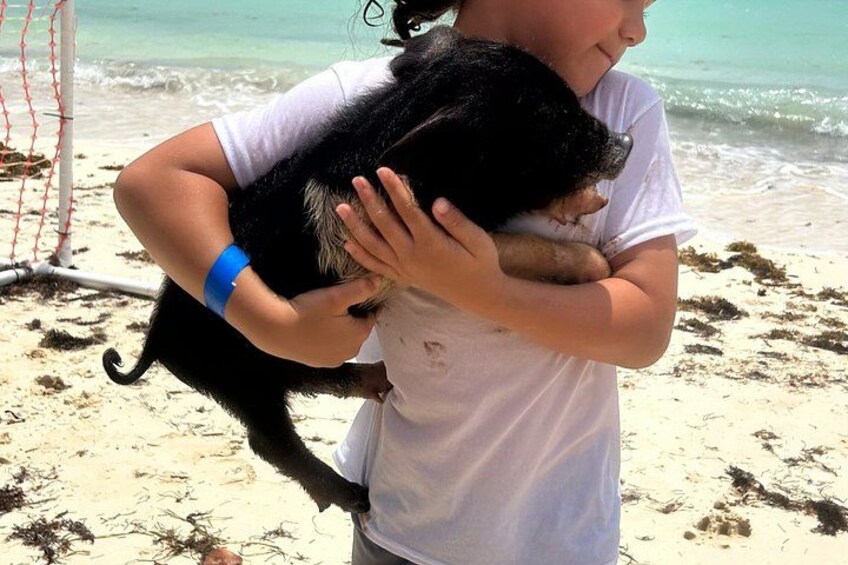 Una persona sostiene un perro en una playa con arena y el océano al fondo. 5