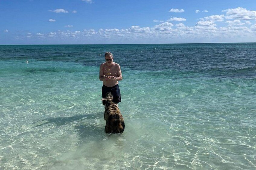 Una persona está de pie en agua poco profunda con un perro. 5