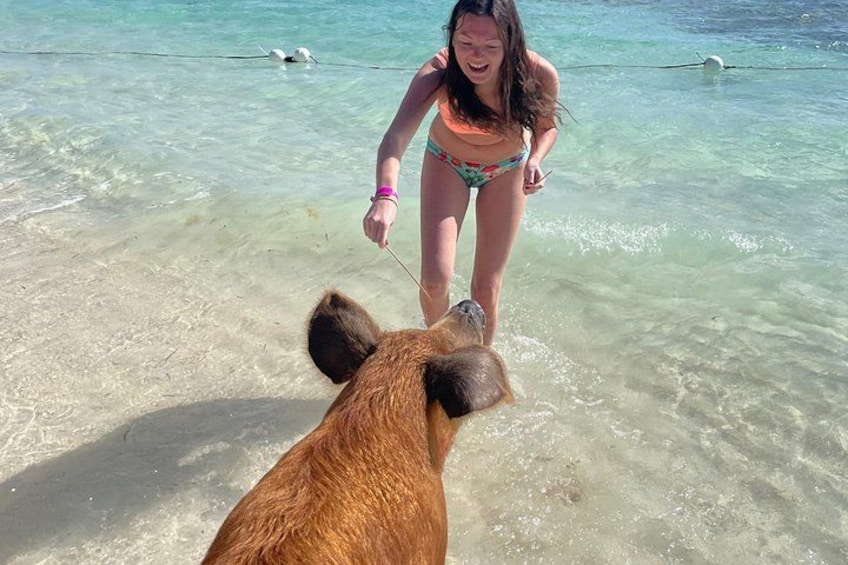 Swim with the Pigs Freeport @Creative Eco Adventures 3